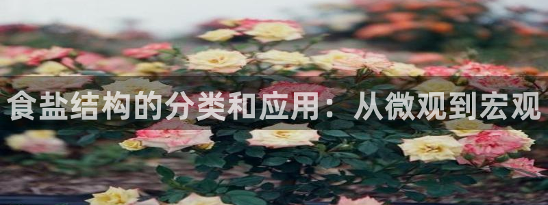威九国际最新