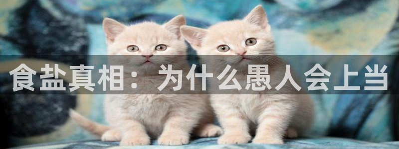 78mapp威九国际官网