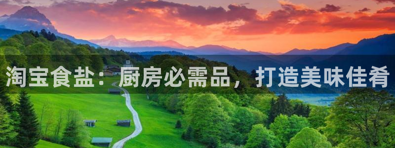 威九国际网站是多少