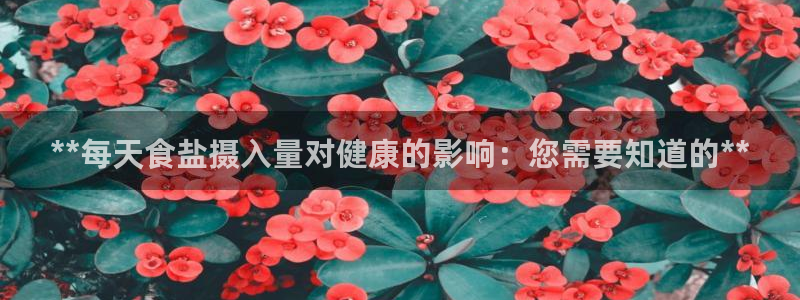 威九国际MV
