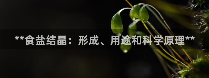 威九国际78mb特点