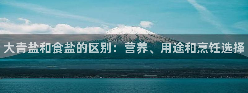保定威九网络科技有限公司招聘