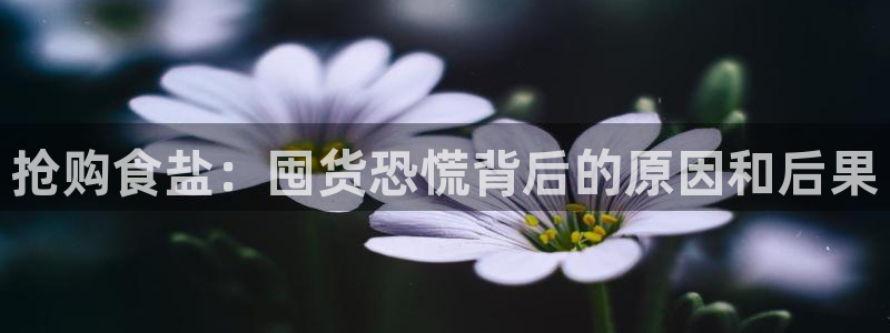威九国际安全吗的认证团队