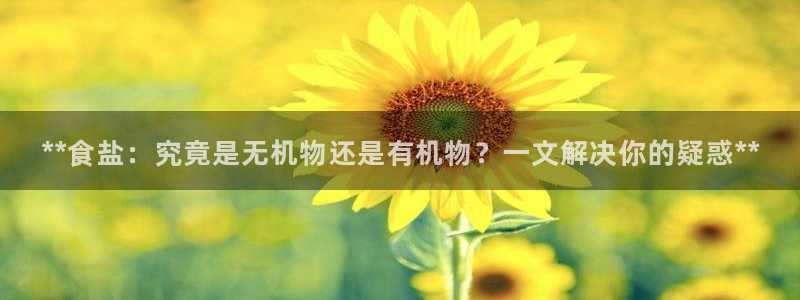 威九国际软件
