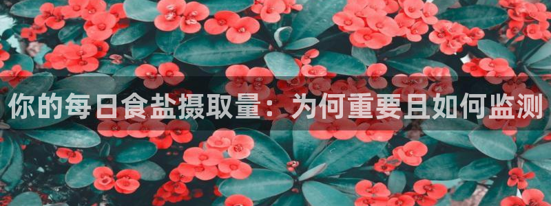 威九国际旗下艺人