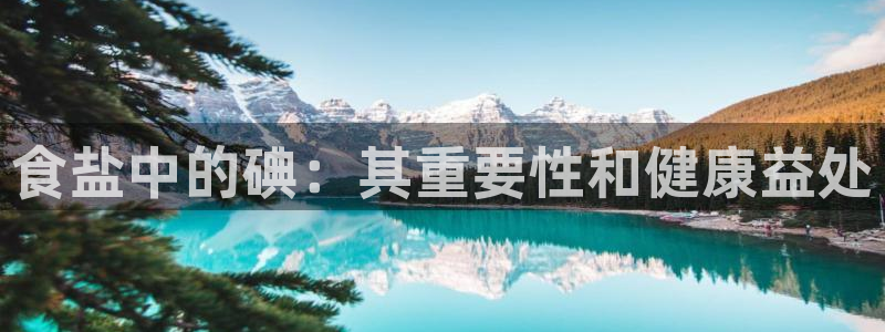 威九国际替好友去