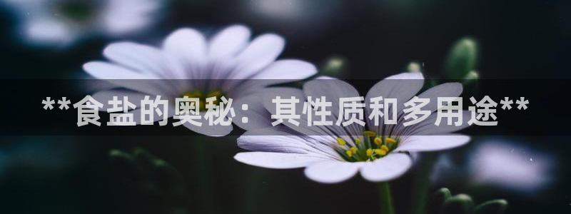 威九国际66视频