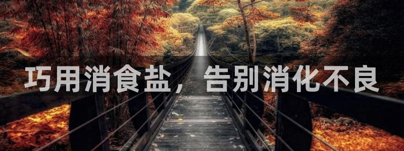 威九国际v8