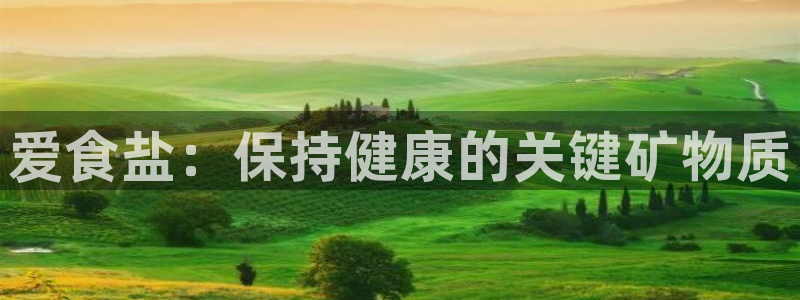 威九国际app网站安全吗