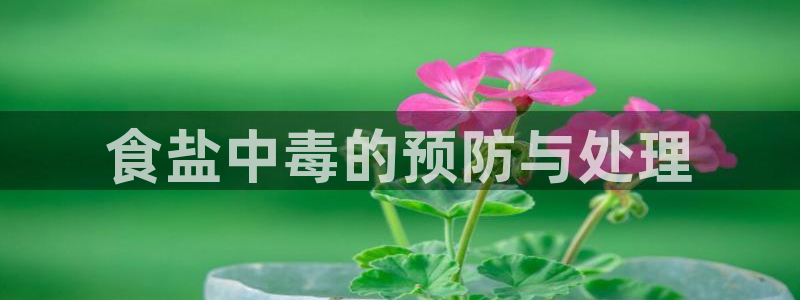 威九国际旗下艺人