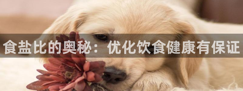 威九国际网站入口官网游戏推荐