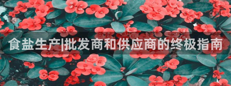 威九国际空降