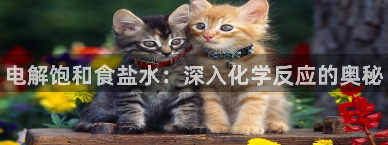 威九国际66m66模式视频