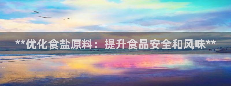 威九国际PPT