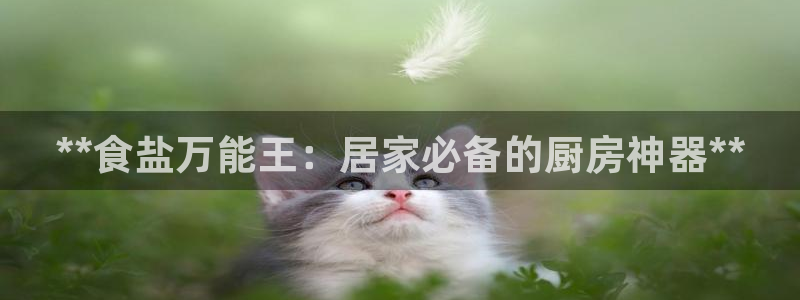 威九国际女孩