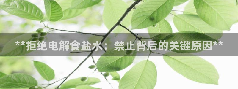 威九国际ppt官网