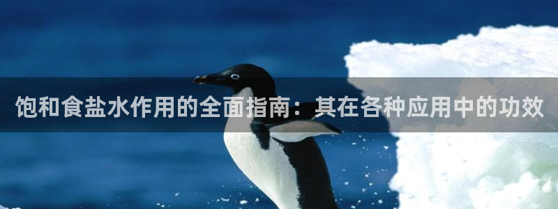 威九国际新