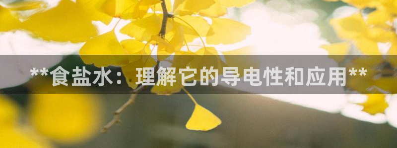 威九国际网站更新
