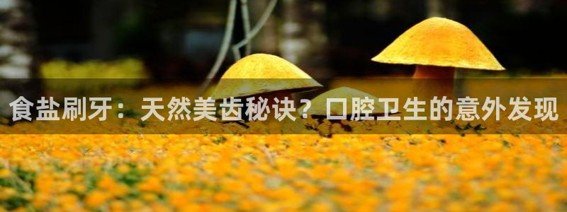 威九国际网站进入产品中心