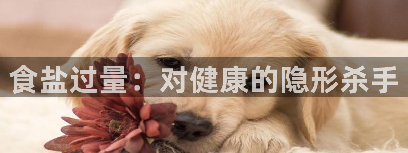 威九国际清砖码头在哪