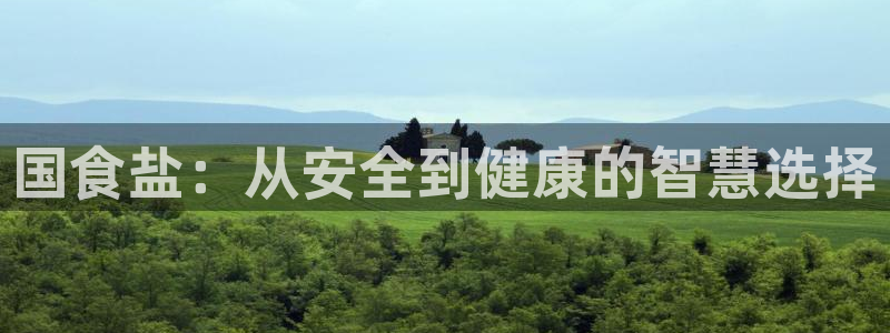 威九国际软件