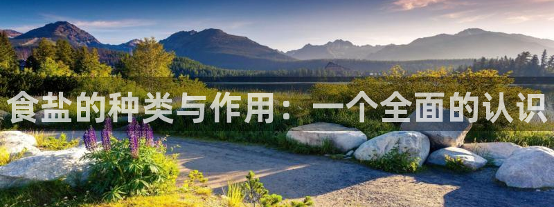 威九cp