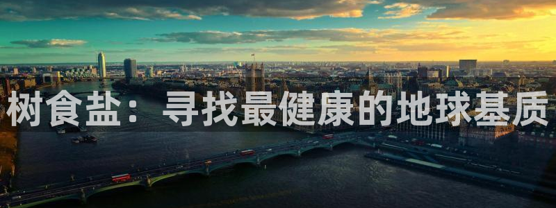 威九国际AN