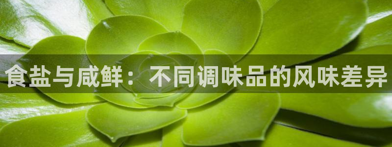 威九国际网站进入(中国)有限公司-官网