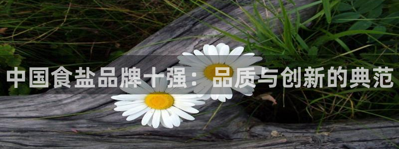 威九国际女孩