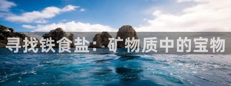 威九国际网站进入公司不断创新