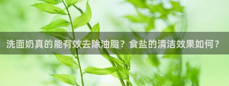 威九国际78mB官网版