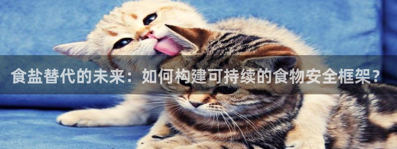 威九国际海域