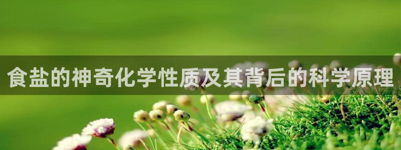 威九国际客服电话