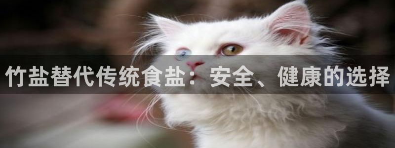 威九国际