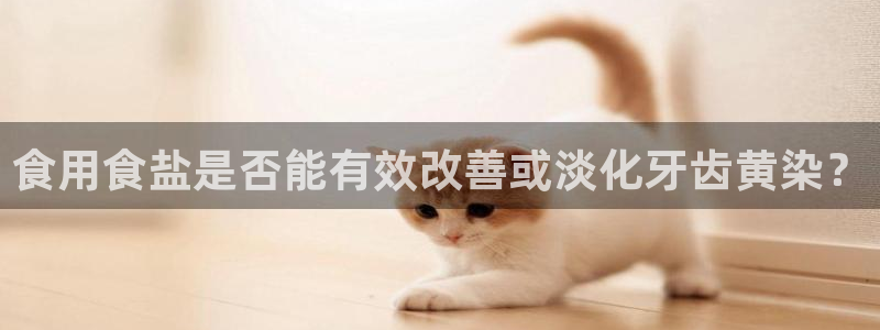 威九国际ppt免费