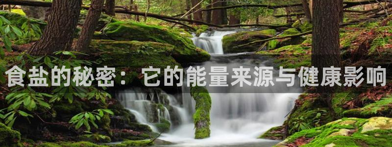 威九国际可以退钱吗怎么退款