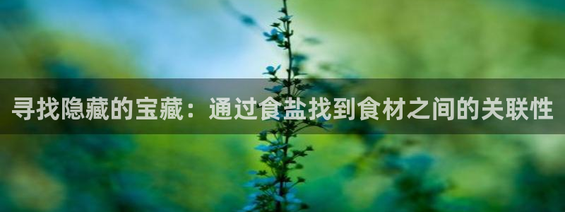 威九国际网站传媒招聘