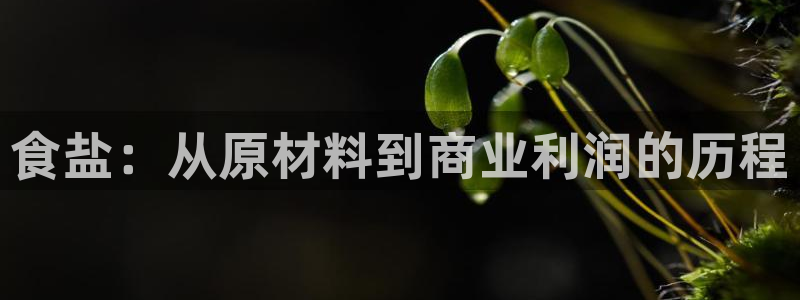 威九国际的女主